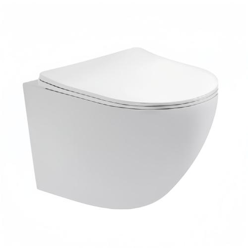 Wall hung Toilet White OL-0900