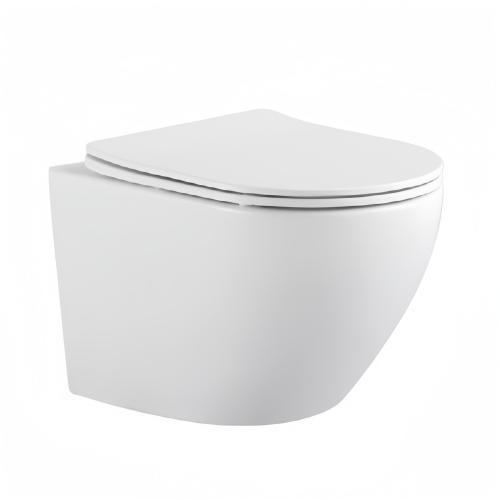 Wall hung Toilet White OL-0901