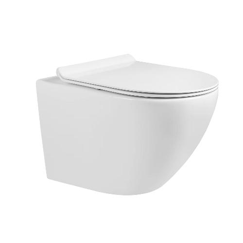 Wall hung Toilet White OL-0203