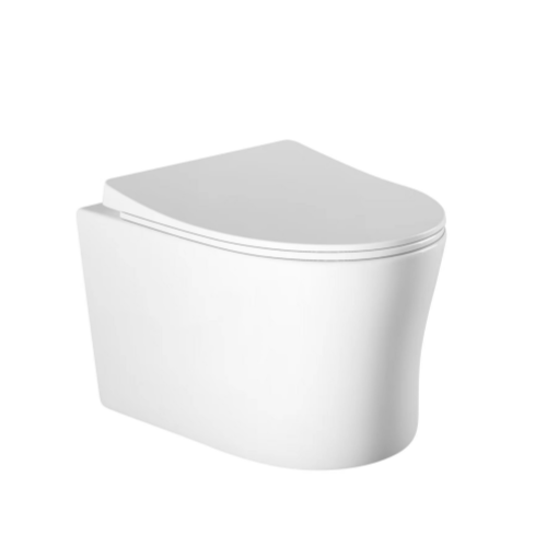 Wall hung Toilet White OL-0209