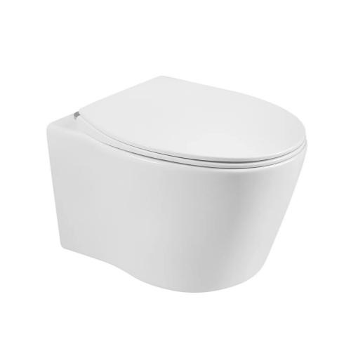 Wall hung Toilet White OL-0210