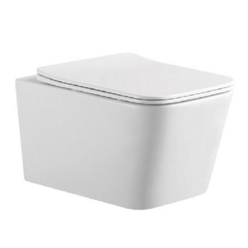 Wall hung Toilet White OL-0907