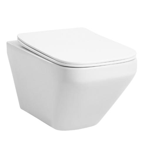 Wall hung Toilet White OL-0166